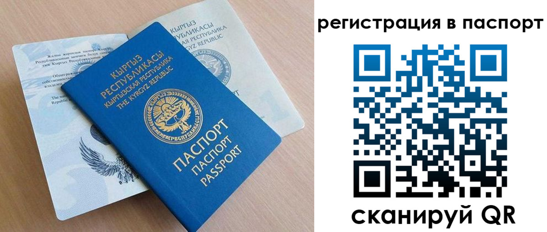 прописка законно в Белгороде